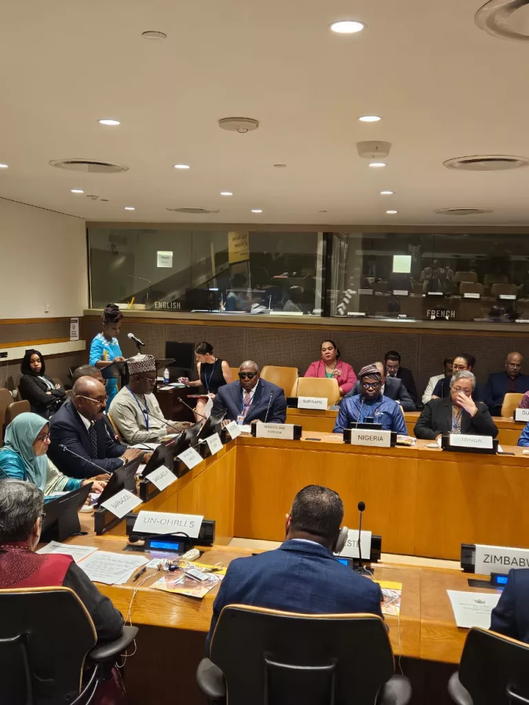80th UNGA: Nigeria Call for Global Investment in Eye Health To Prevent Blindness Across Continents