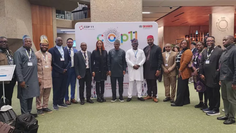 WHO COPII: Nigeria Showcases Major Gains in Tobacco Control, Highlights Landmark$110m Fine Against BATN in Geneva