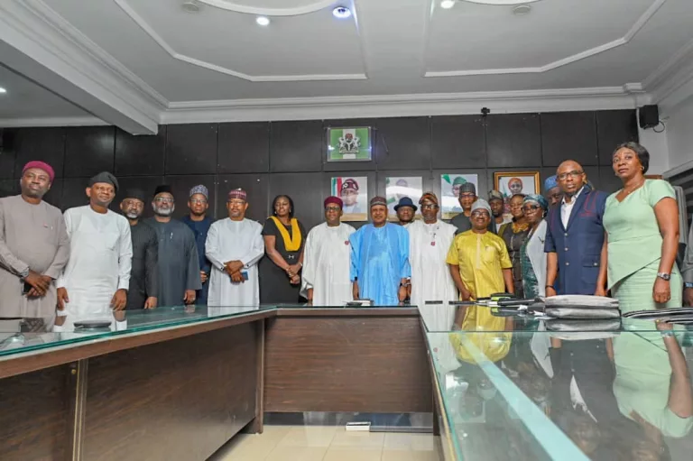 Health Key to Unity, Productivity, Social Stability — FG Emphasizes